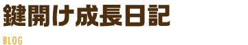 鍵開け成長日記